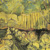 Plants: image 6 0f 16 thumb